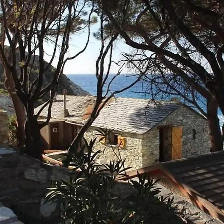 Cabanon Timanthe *